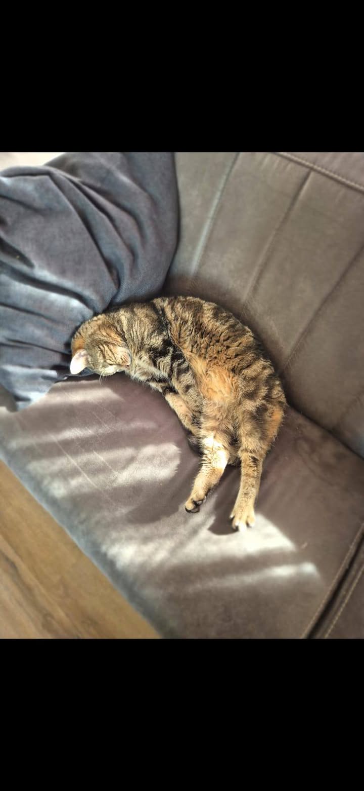 Facebook bericht afbeelding