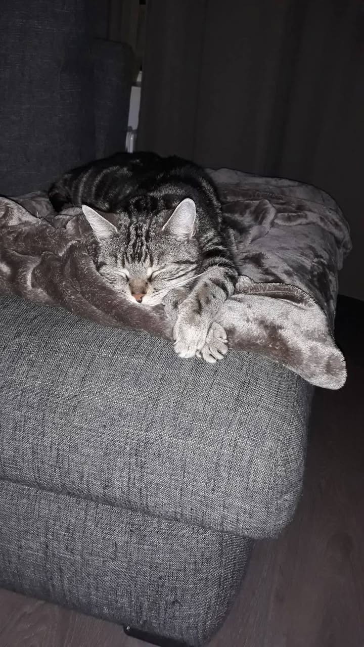 Facebook bericht afbeelding