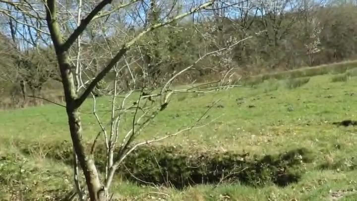 Facebook bericht afbeelding