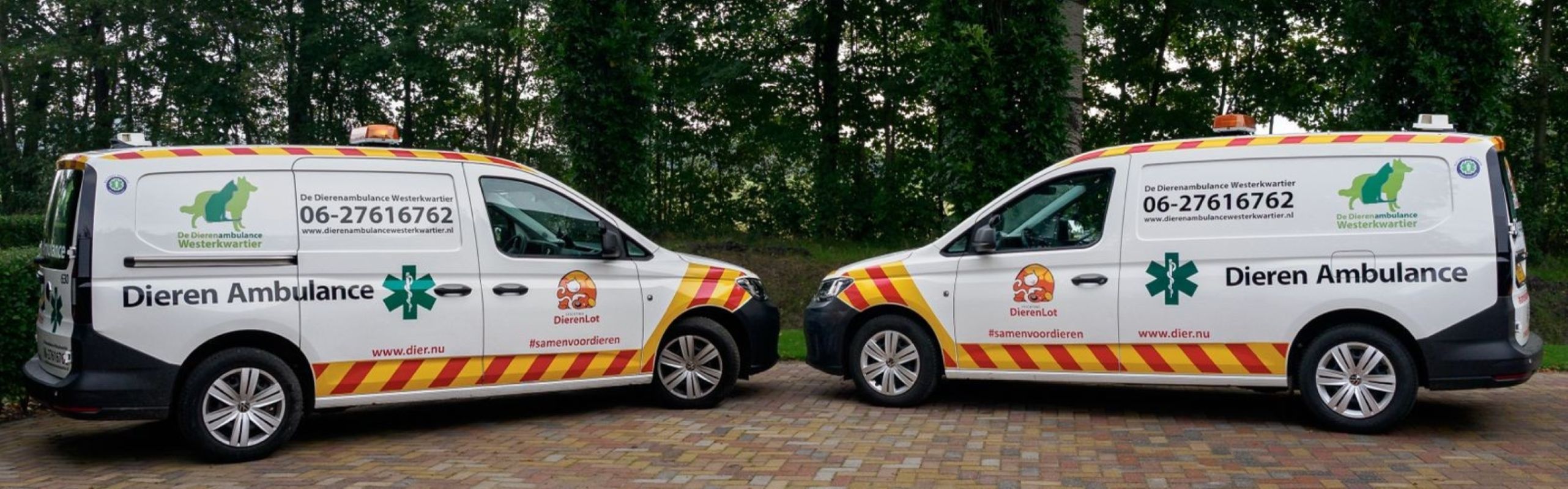 banner afbeelding